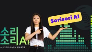 How To Use Sorisori AI